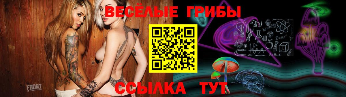 купить наркоту  Вход с VPN  Галлюциногенные грибы Magic Shrooms  Чистополь  Псилоцибиновые грибы мухоморы 
